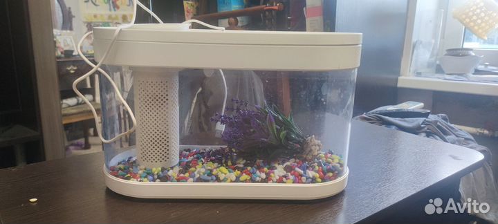 Аквариум