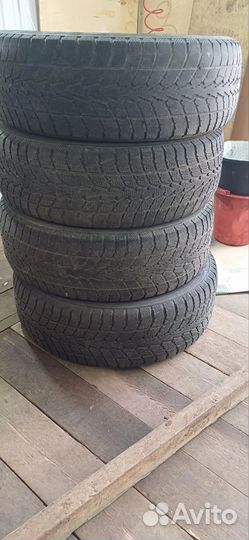 Toyo Winter Tranpath S1 2.25/65 R17
