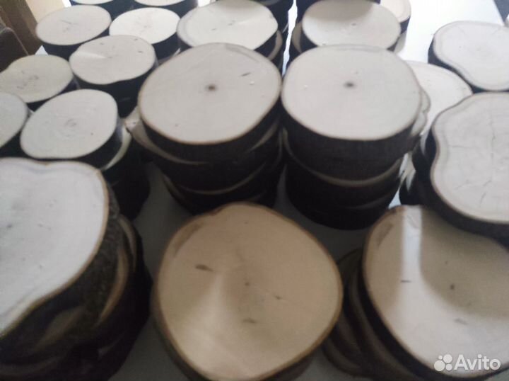 Спилы дерева разных пород