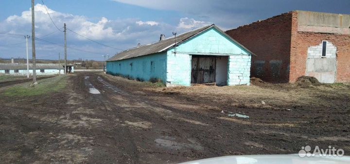 Ферма и сопутствующие строения