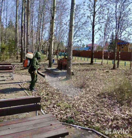 Уничтожение клопов, тараканов, мышей