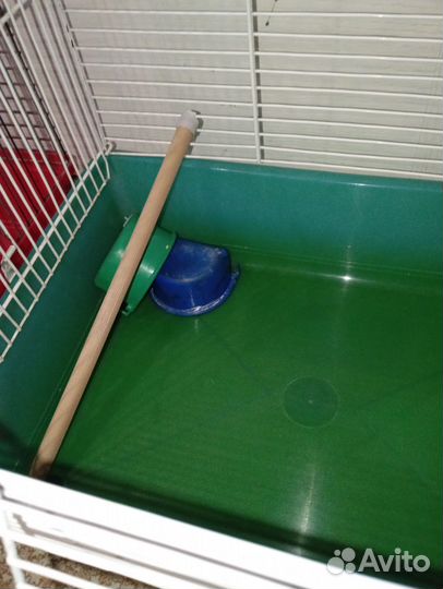 Клетки три штуки, две больших одна мале