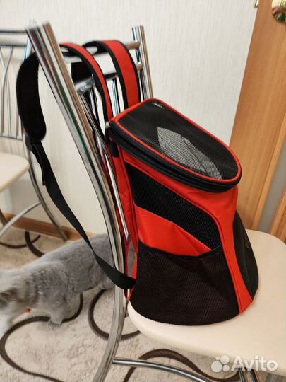 Рюкзак для кошек