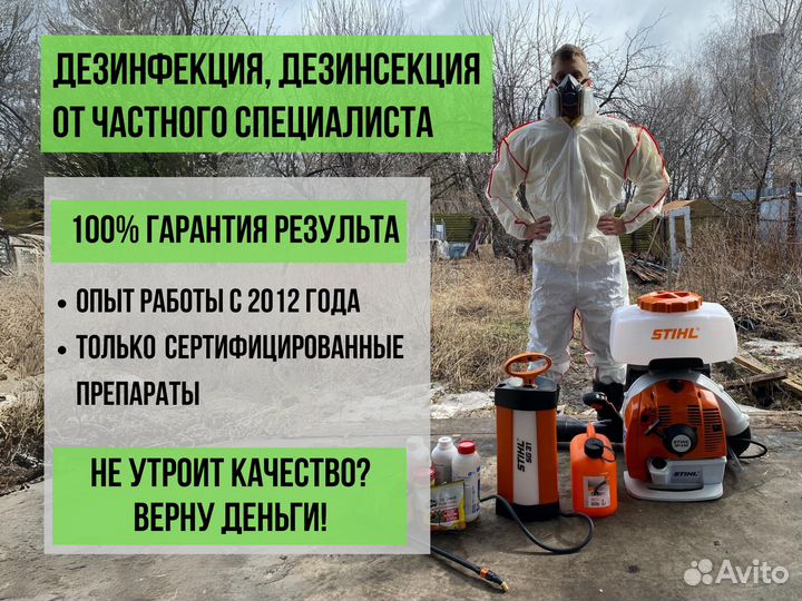 Уничтожение тараканов, клопов, крыс. Дезинсекция