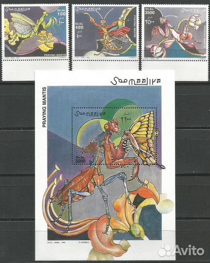 Сомали 2002 г. Фауна, насекомые, бабочки, богомол