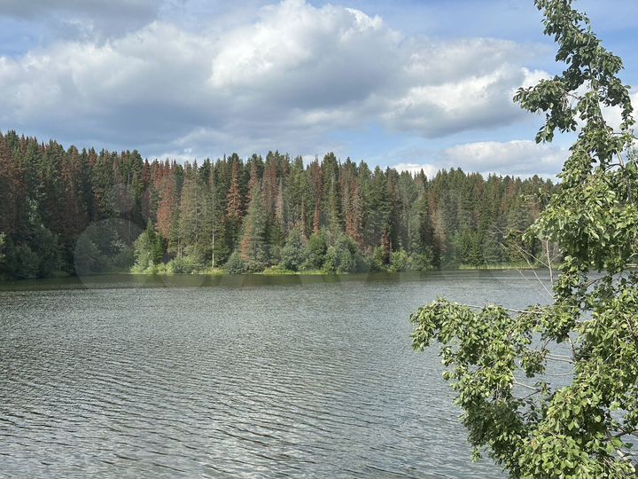 Участок 11 сот. (ИЖС)