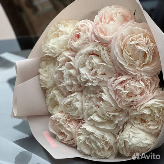 Пионы онлайн