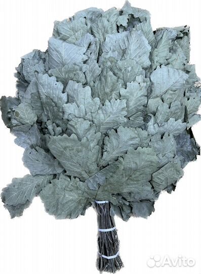 Эвкалиптовый и дубовый веник для бани