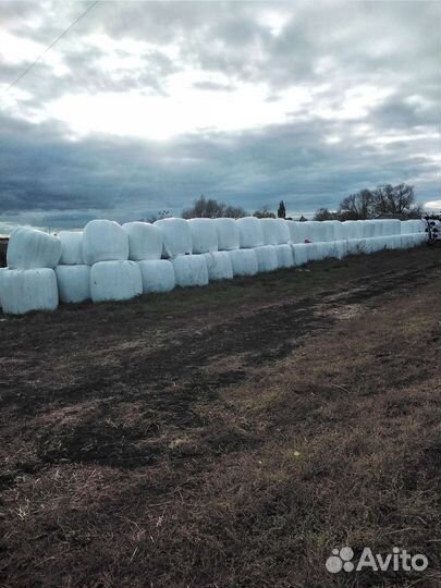 Сенаж в рулонах 2023 года