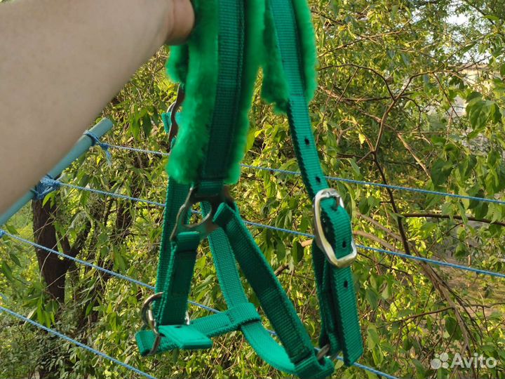 Недоуздок для лошади