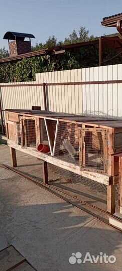 Клетки для кроликов