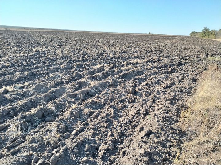 Участок 100 га (СНТ, ДНП)