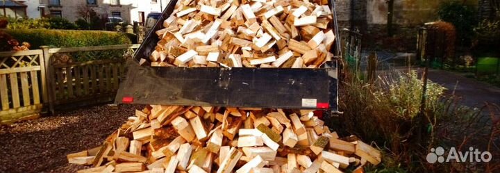 Дрова березовые