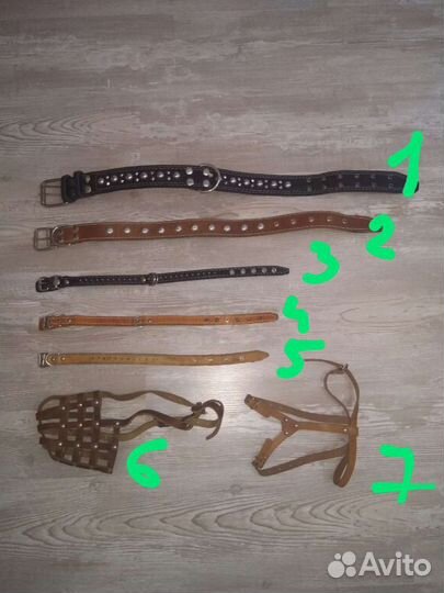 Ошейник, намордник, шлейка