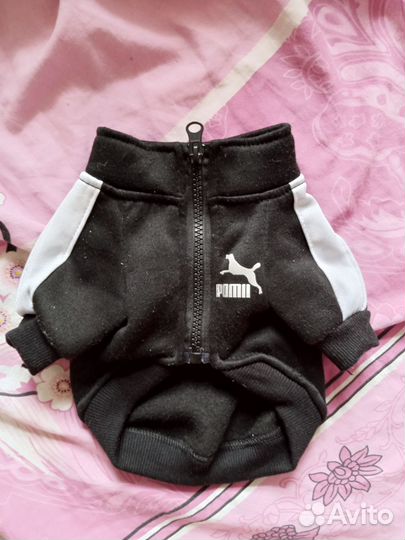 Толстовка для собак