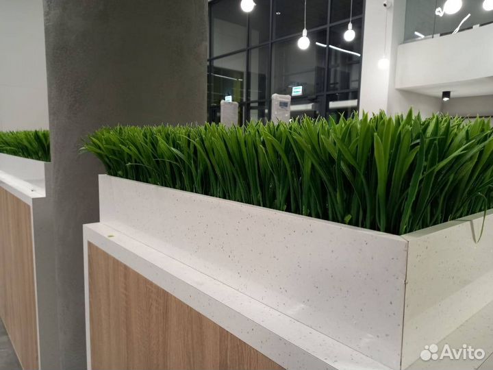 Озеленение помещений/ мох/ искусственные растения