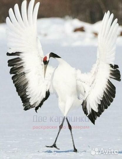 Алмазная мозаика 40x50 Журавль на снегу