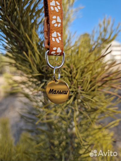 Адресник для собак и кошек