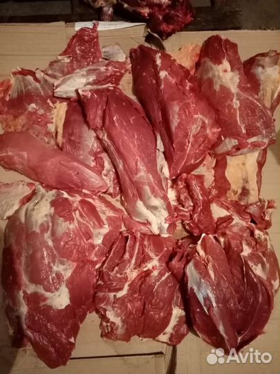 Говяжия мякоть