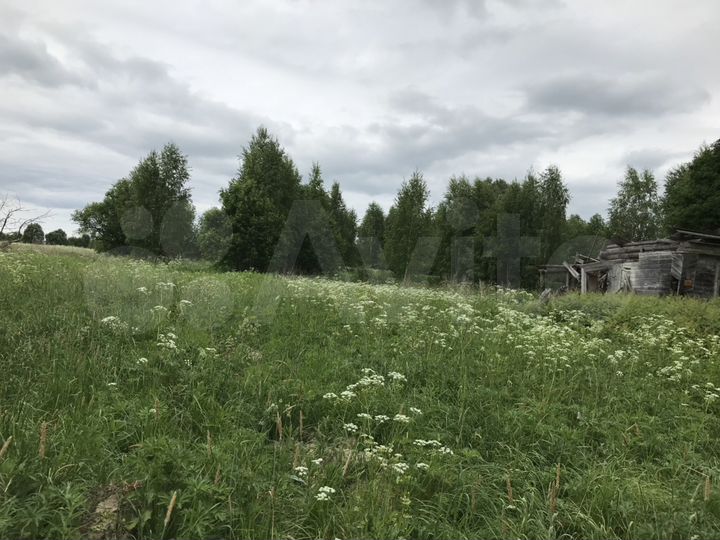 Участок 25 сот. (ИЖС)