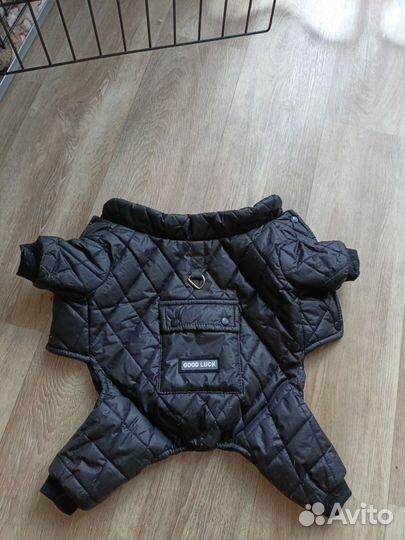 Одежда для маленьких пород собак