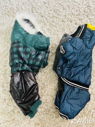 Одежда для собак за 2