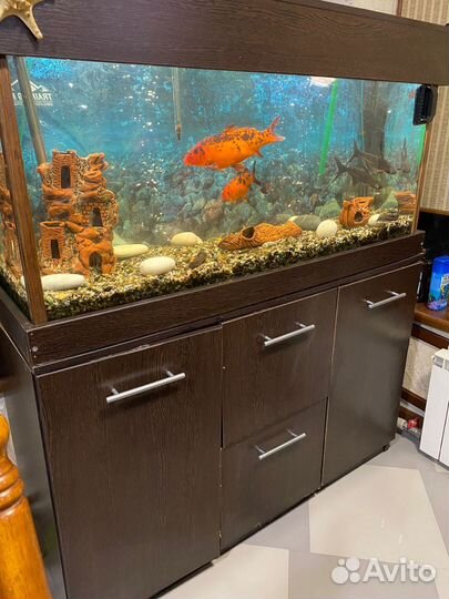 Украшения для акваурима