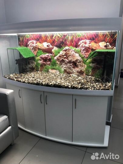 Террариум для краснухой черепахи