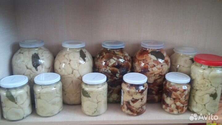 Солёные грибочки белянки и валуи