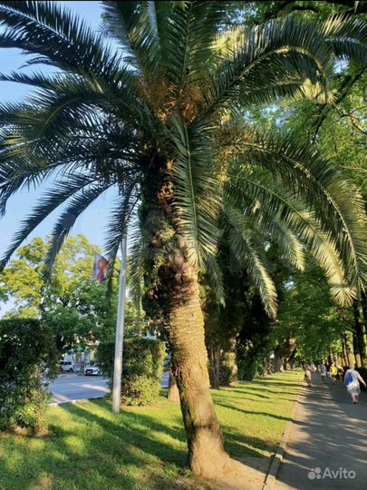 Комната 30 м² в 1-к., 2/2 эт.