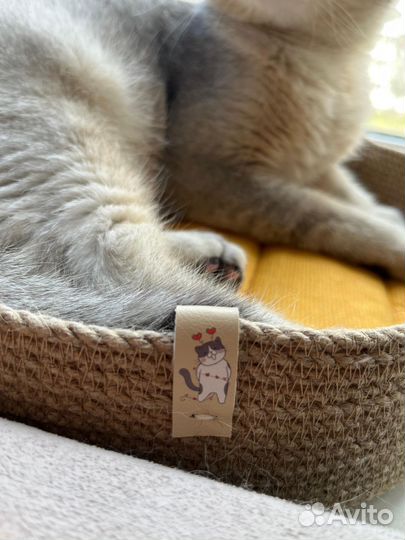 Корзина для животных лежанка