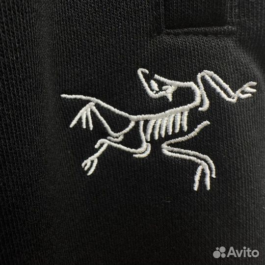 Спортивные штаны arcteryx