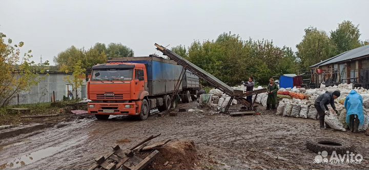 Услуги зерновоза. камаз бортовой с прицепом