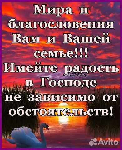 Святой Отец Алексей