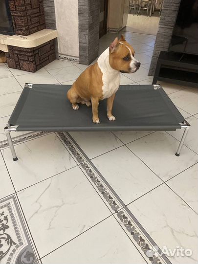Лежанка для собак