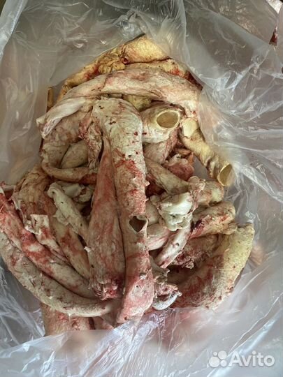 Говяжья аорта на корм животным(собакам)