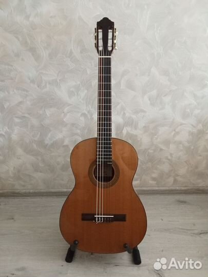 Классическая гитара Cremona 4855 (Чехия) массив