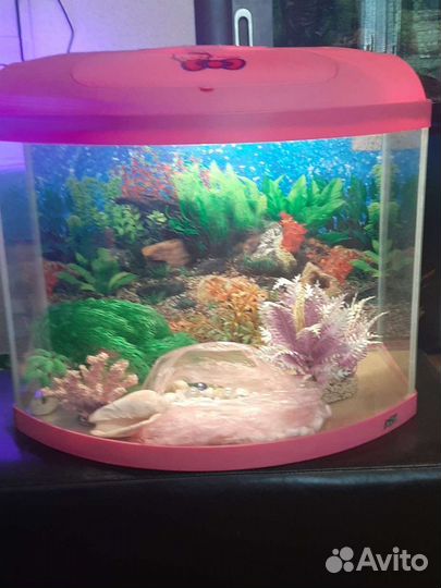 Аквариум 