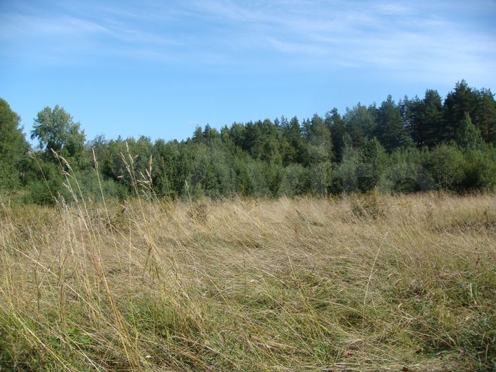 Участок 20 сот. (СНТ, ДНП)