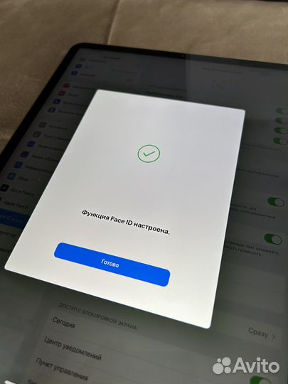 iPad Pro 12 9 256gb + Apple Pencil