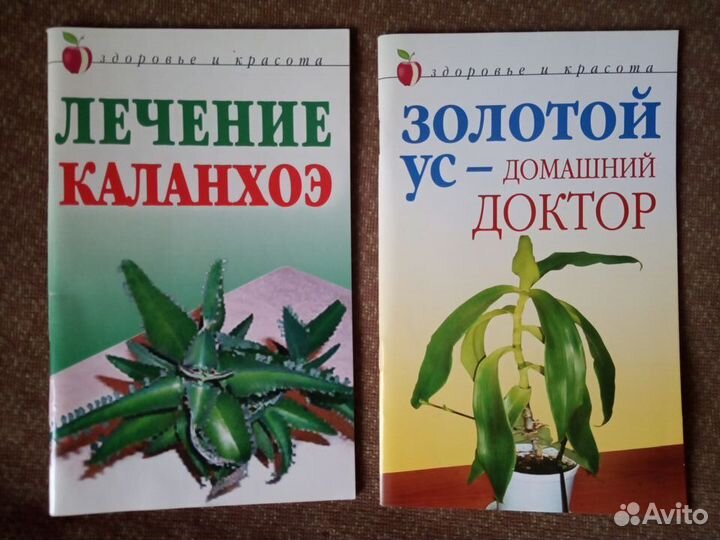 Справочник по лекарственным растениям