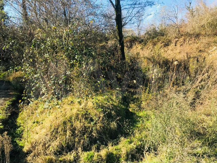 Участок 6 сот. (СНТ, ДНП)