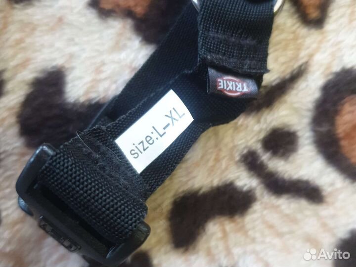 Аксессуары для собак