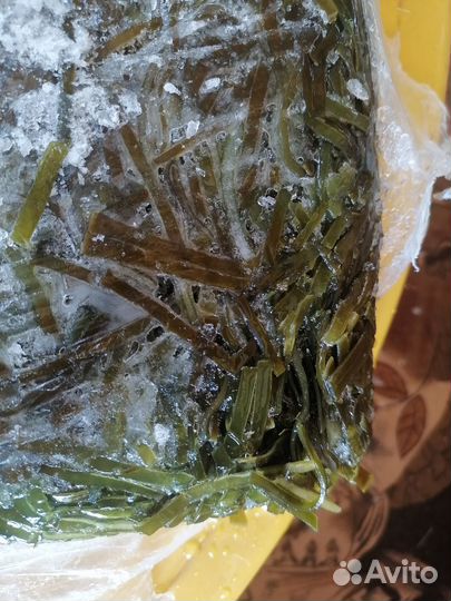 Морская капуста свежемороженая