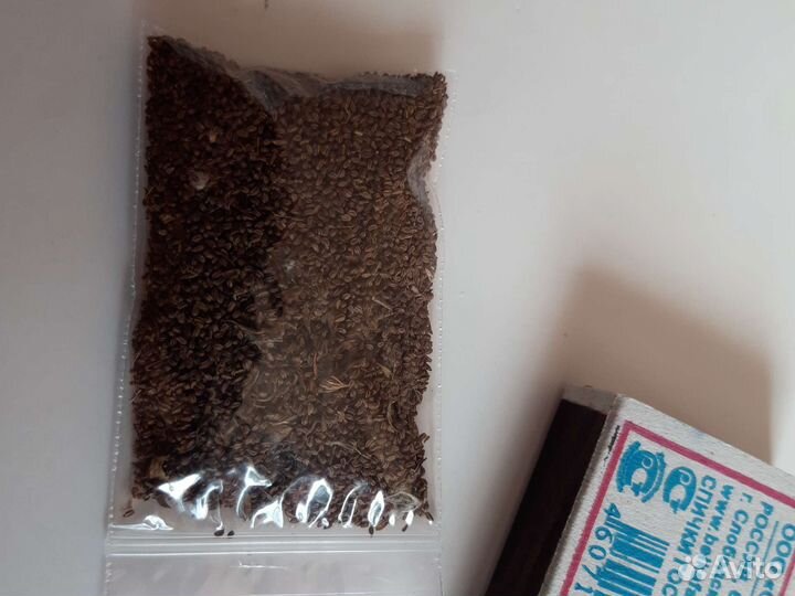 Любисток трава, семена лекарственная зелень пряная