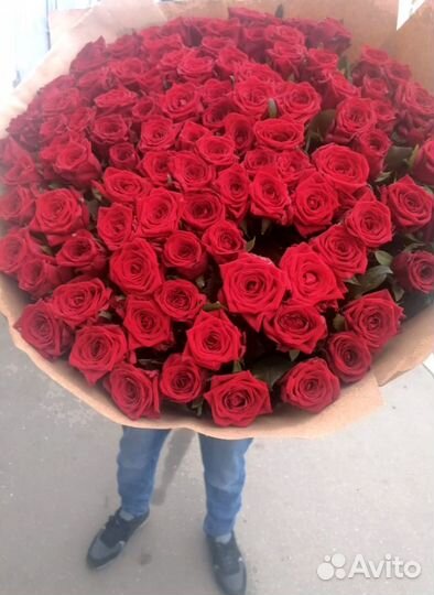 Розы, букет цветов, 101 роза, 51 роза Розы опт