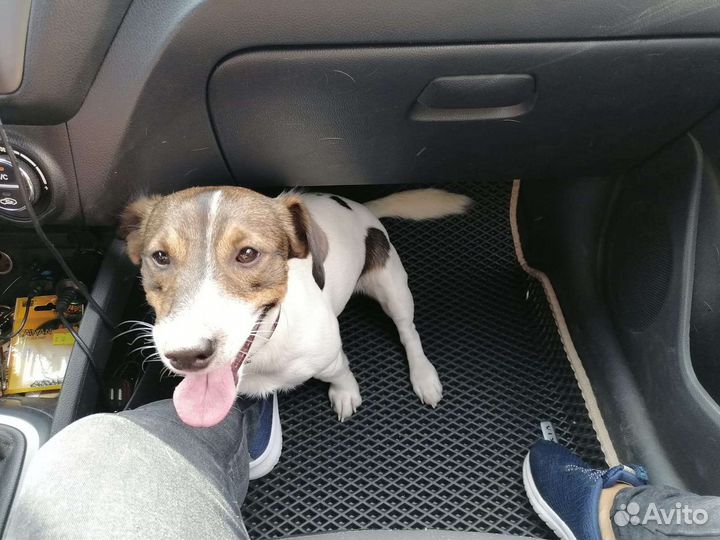 Ева коврики, автоковрики Eva