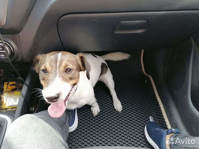 Ева коврики, автоковрики Eva