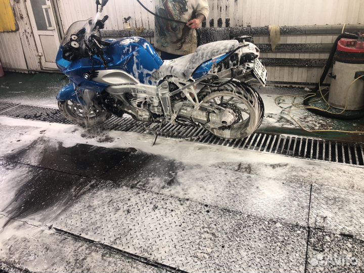 Продается красавчик