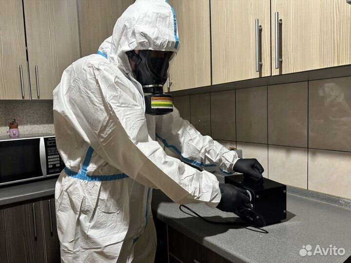 Уничтожение тараканов, насекомых, запахов, быстро